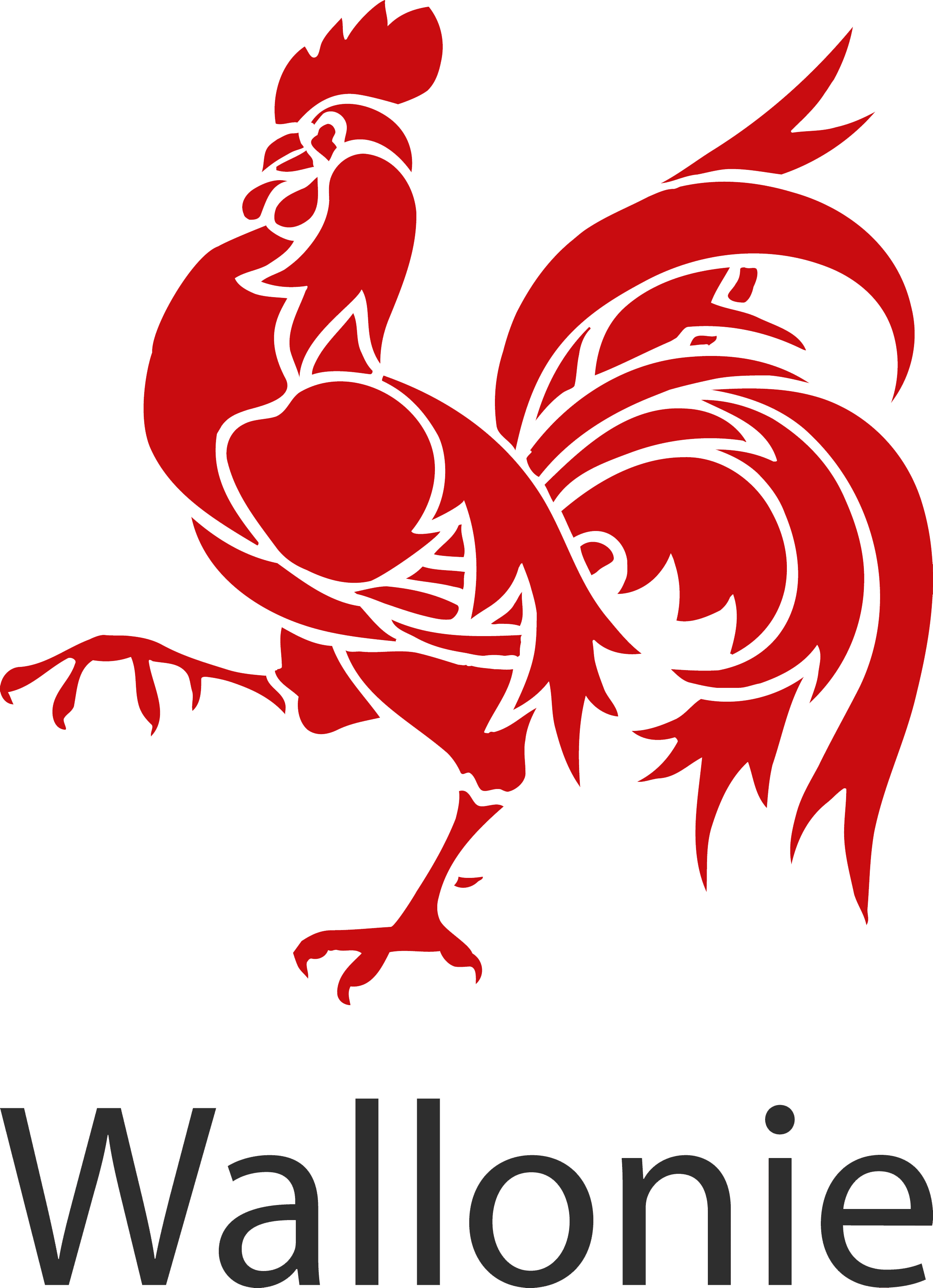 Coq wallonie transparent ok