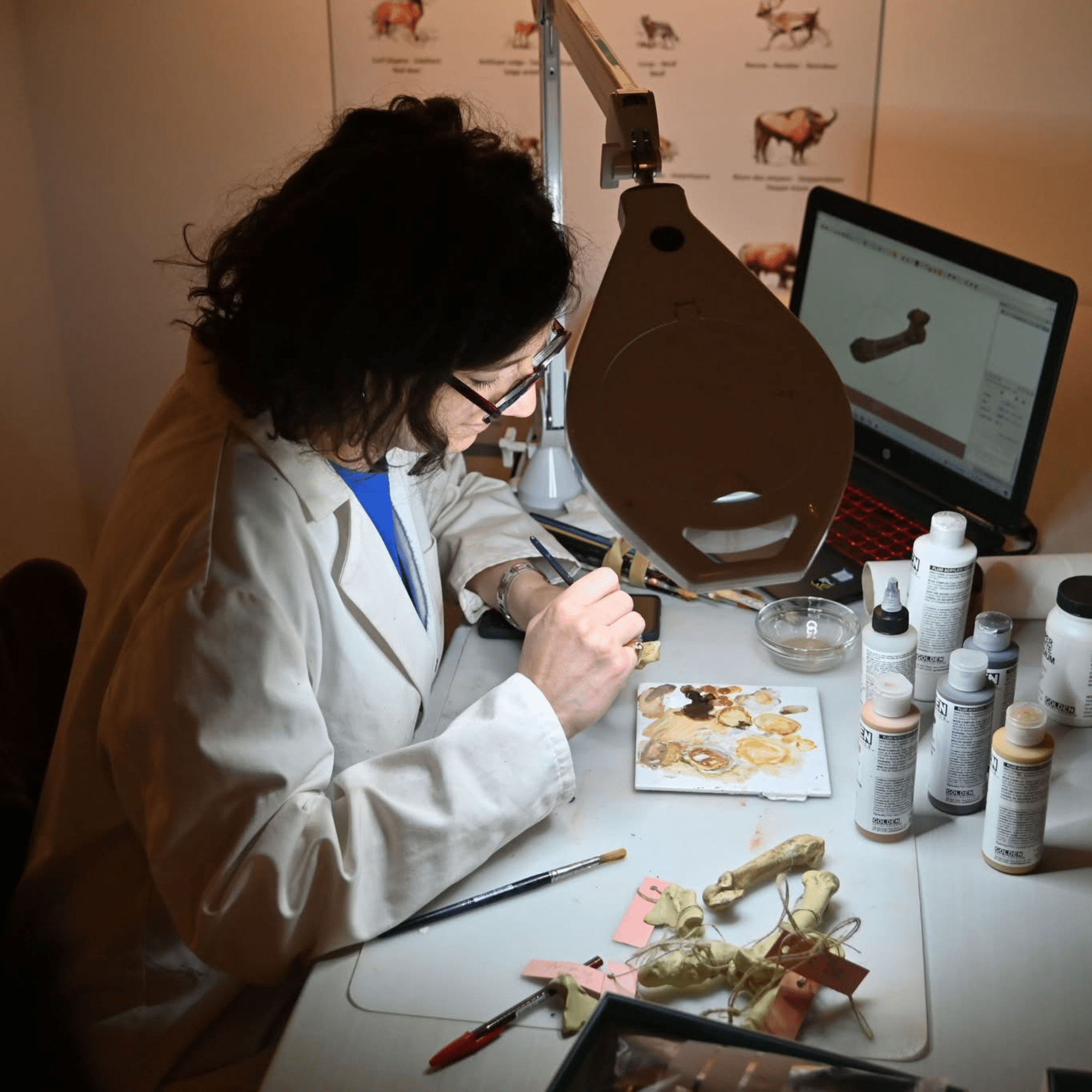 Recherche scientifique musée Malgré-Tout province de Namur